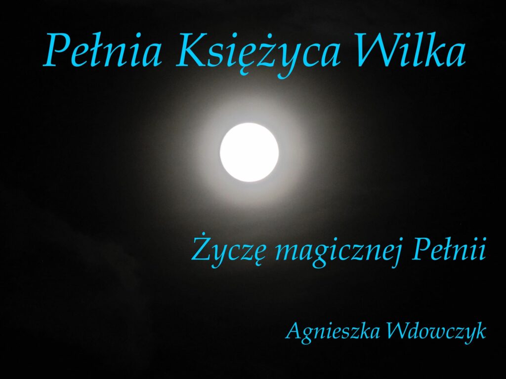 styczniowa pelnia wilka